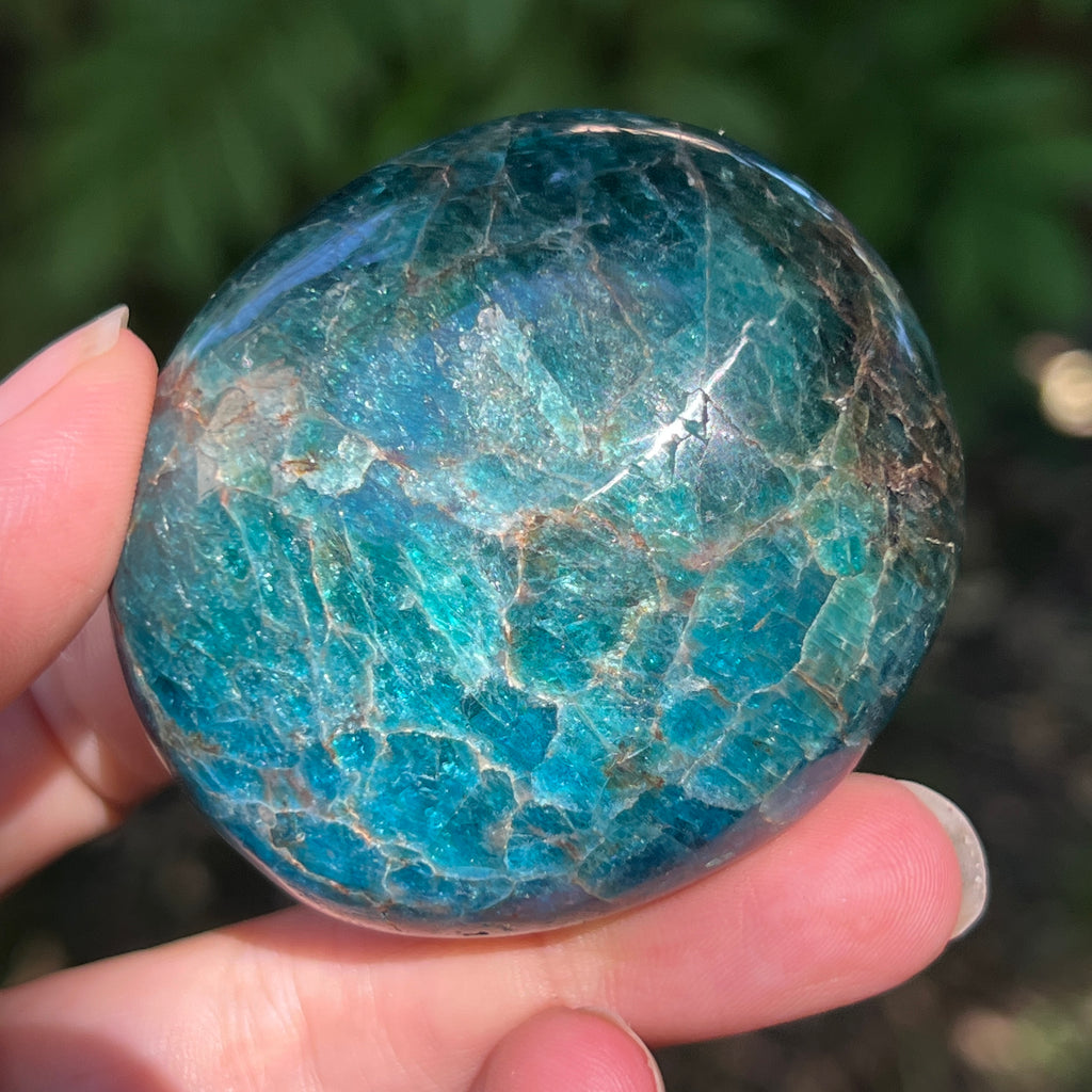 Apatit rulat palmstone | Model 18, pietre semipretioase - druzy.ro 5 