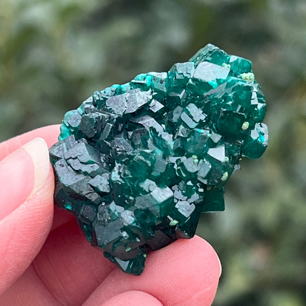 Dioptaz cluster din Congo model 18, pietre semipretioase - druzy.ro 1 