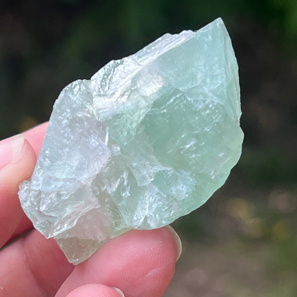Fluorit piatra bruta din Namibia Africa model 12, pietre semipretioase - druzy.ro 2 