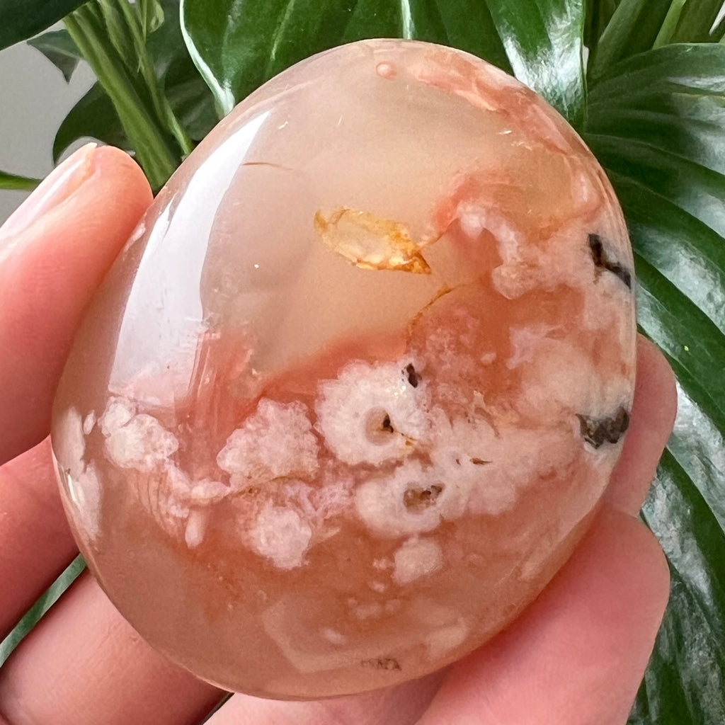 Palmstone agat coral floare rosu m10, pietre semipretioase - druzy.ro 1 