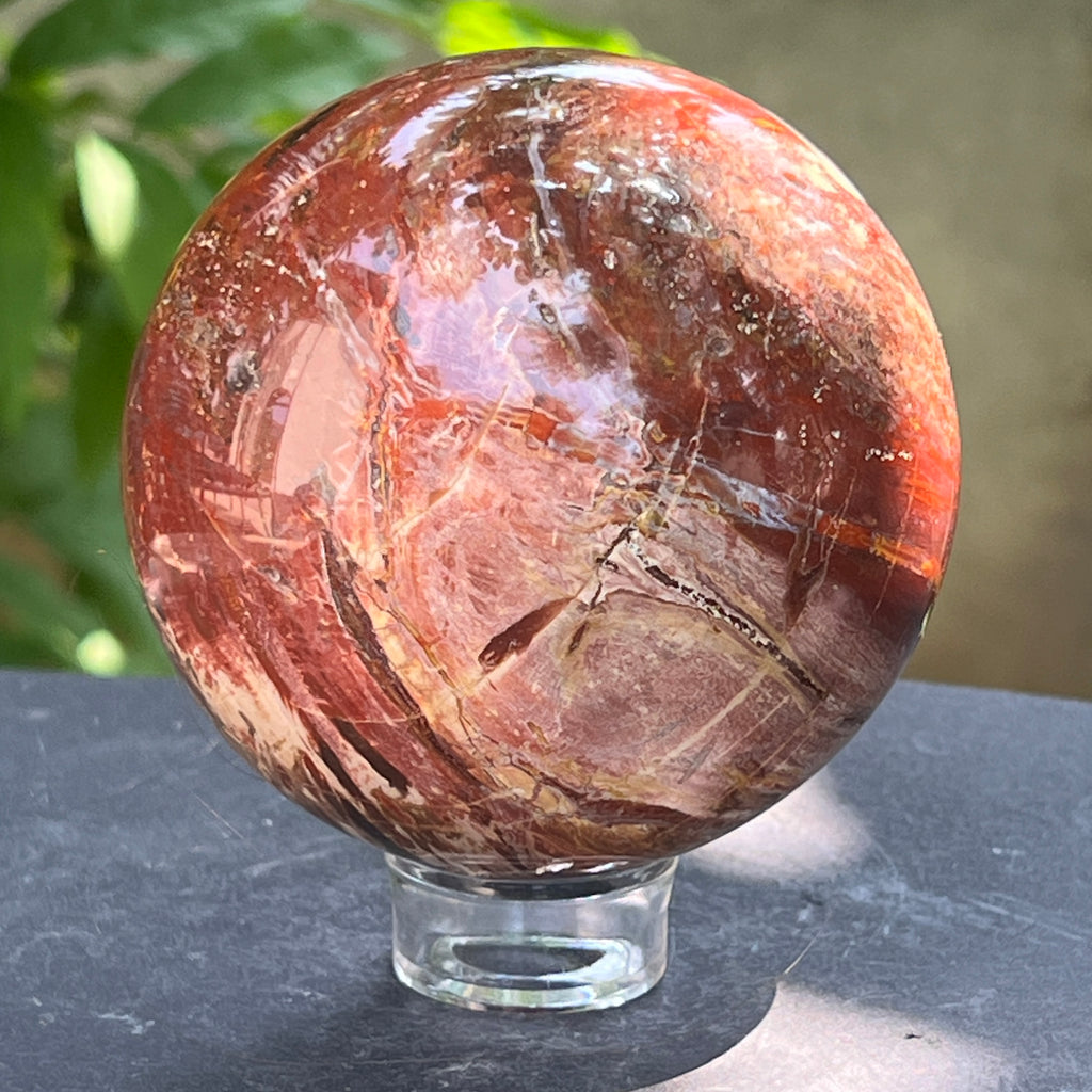Sfera lemn pietrificat | Model 2, pietre semipretioase - druzy.ro 2 