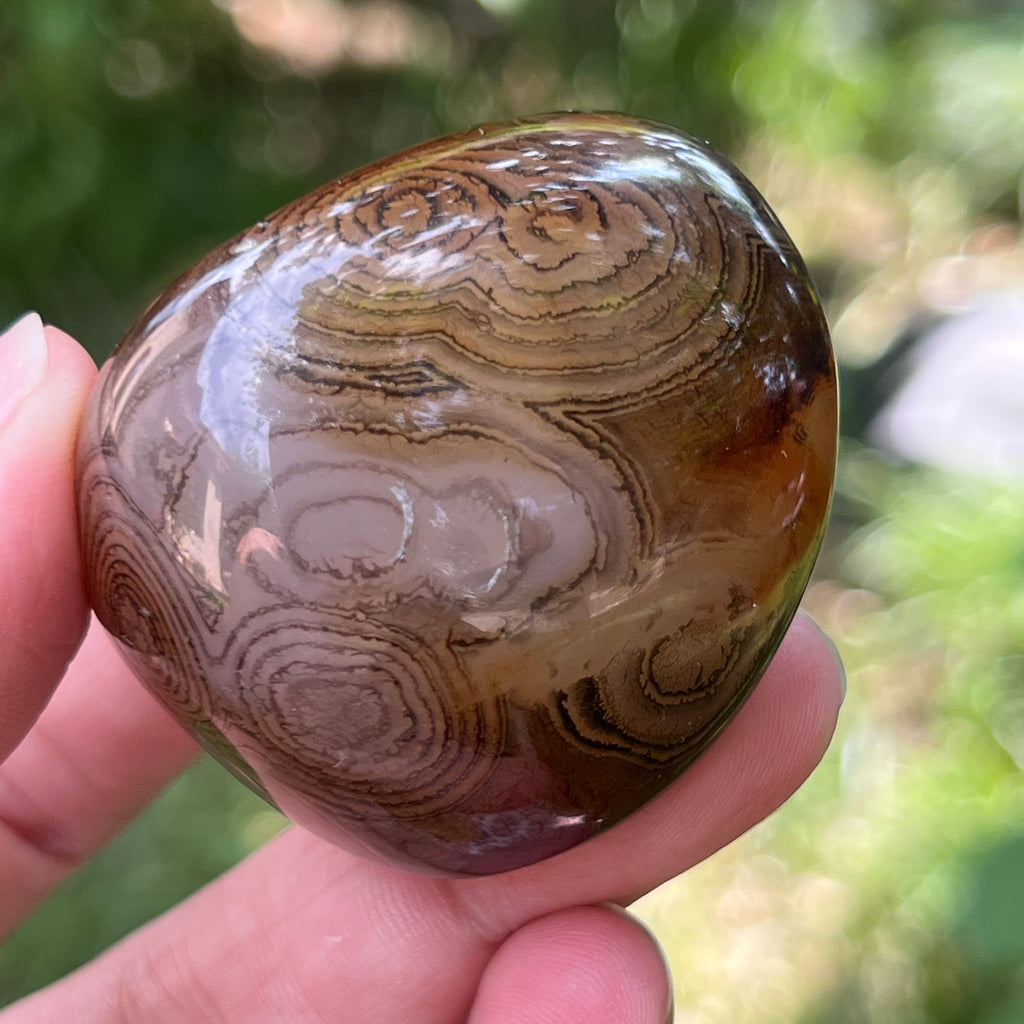 Palmstone agat dungat m1, pietre semipretioase - druzy.ro 4 