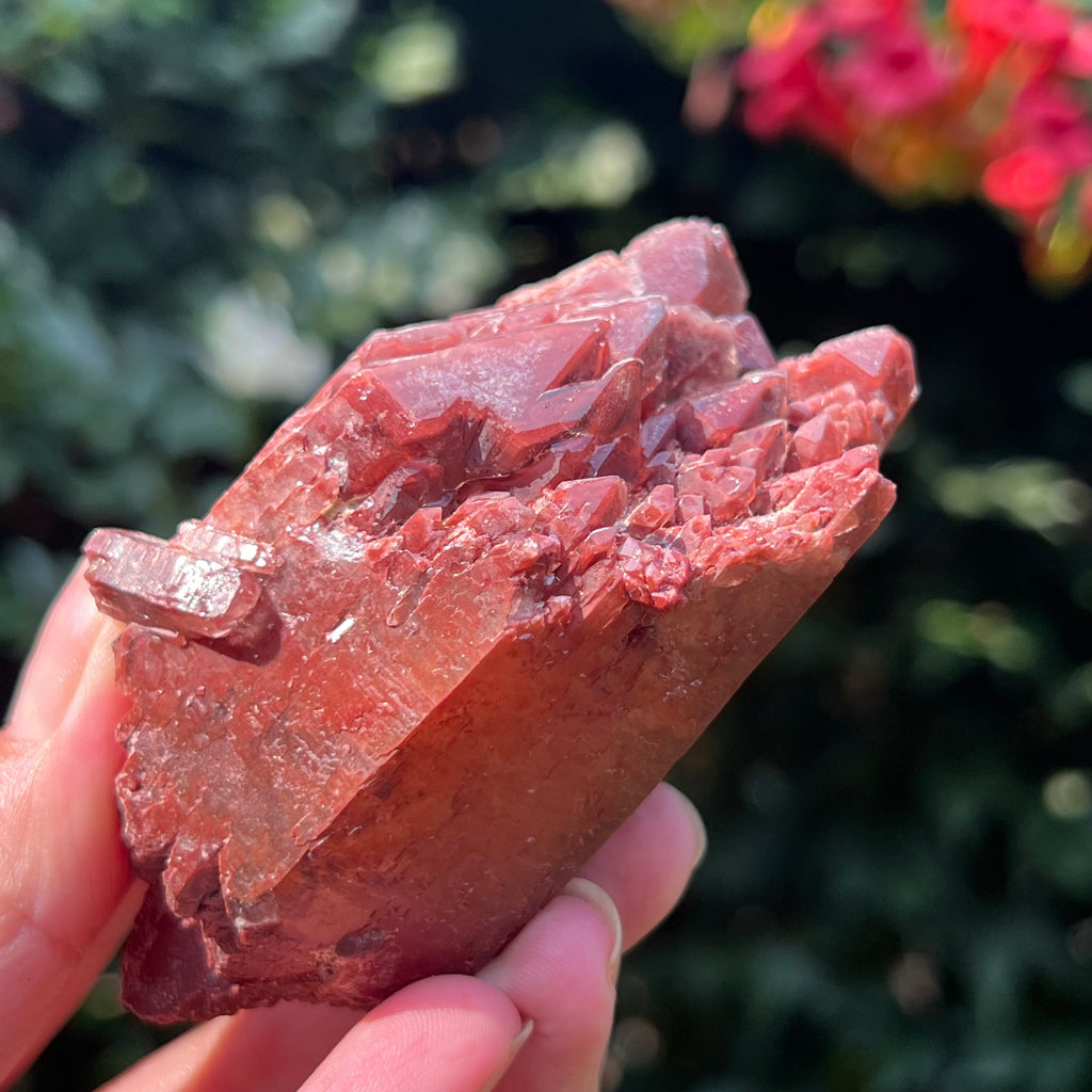 Cluster rosu hematoid din Zimbabwe model 6, pietre semipretioase - druzy.ro 3