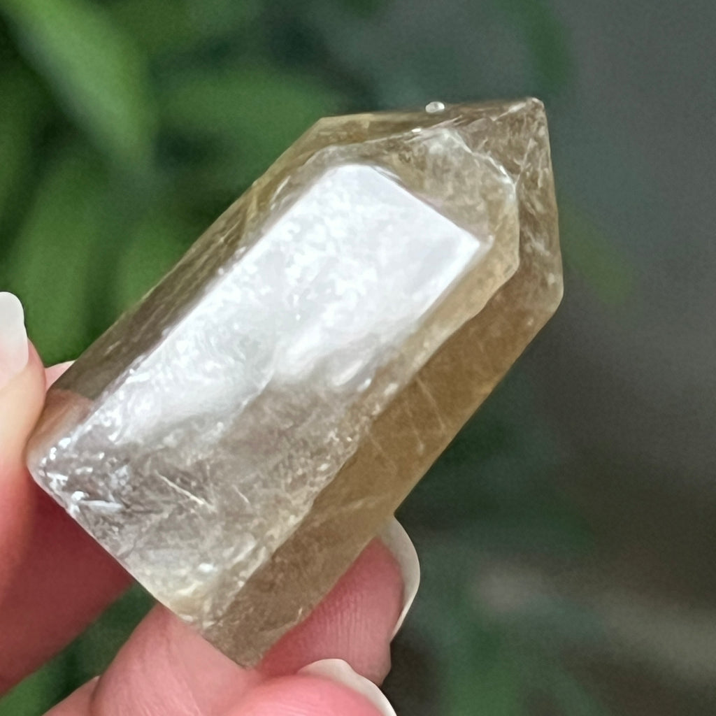 Obelisc cuart rutilat auriu | Model 5, pietre semipretioase - druzy.ro 4 
