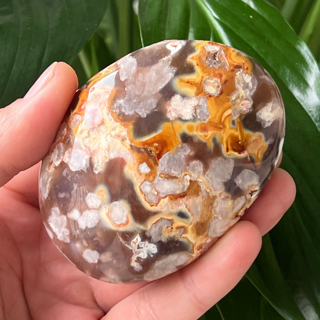 Palmstone agat coral floare rosu m32, pietre semipretioase - druzy.ro 2 
