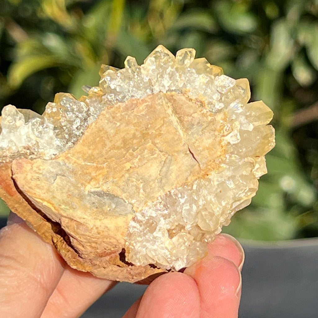 Cluster cuart lamaie Zambia, golden healer model 44, pietre semipretioase - druzy.ro 7 