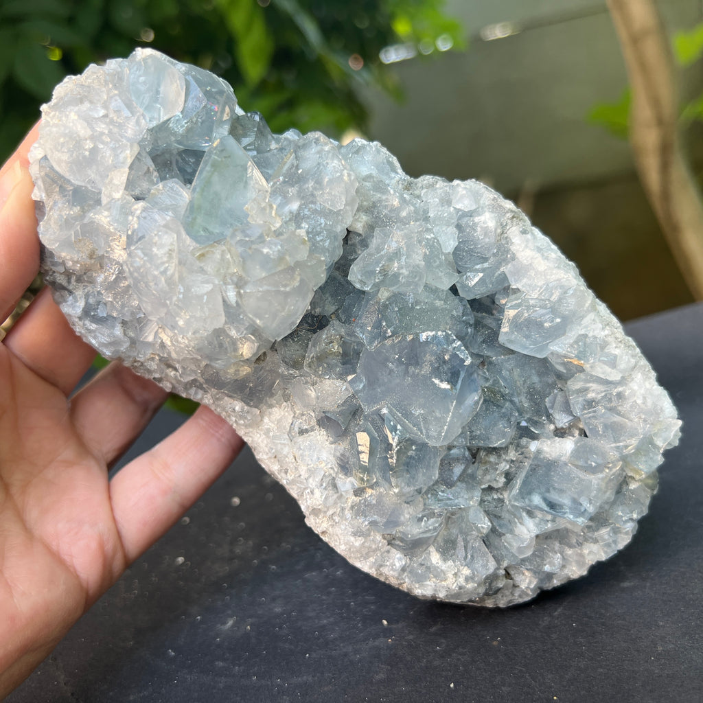 Celestit / celestina cluster m6, pietre semipretioase - druzy.ro 2 