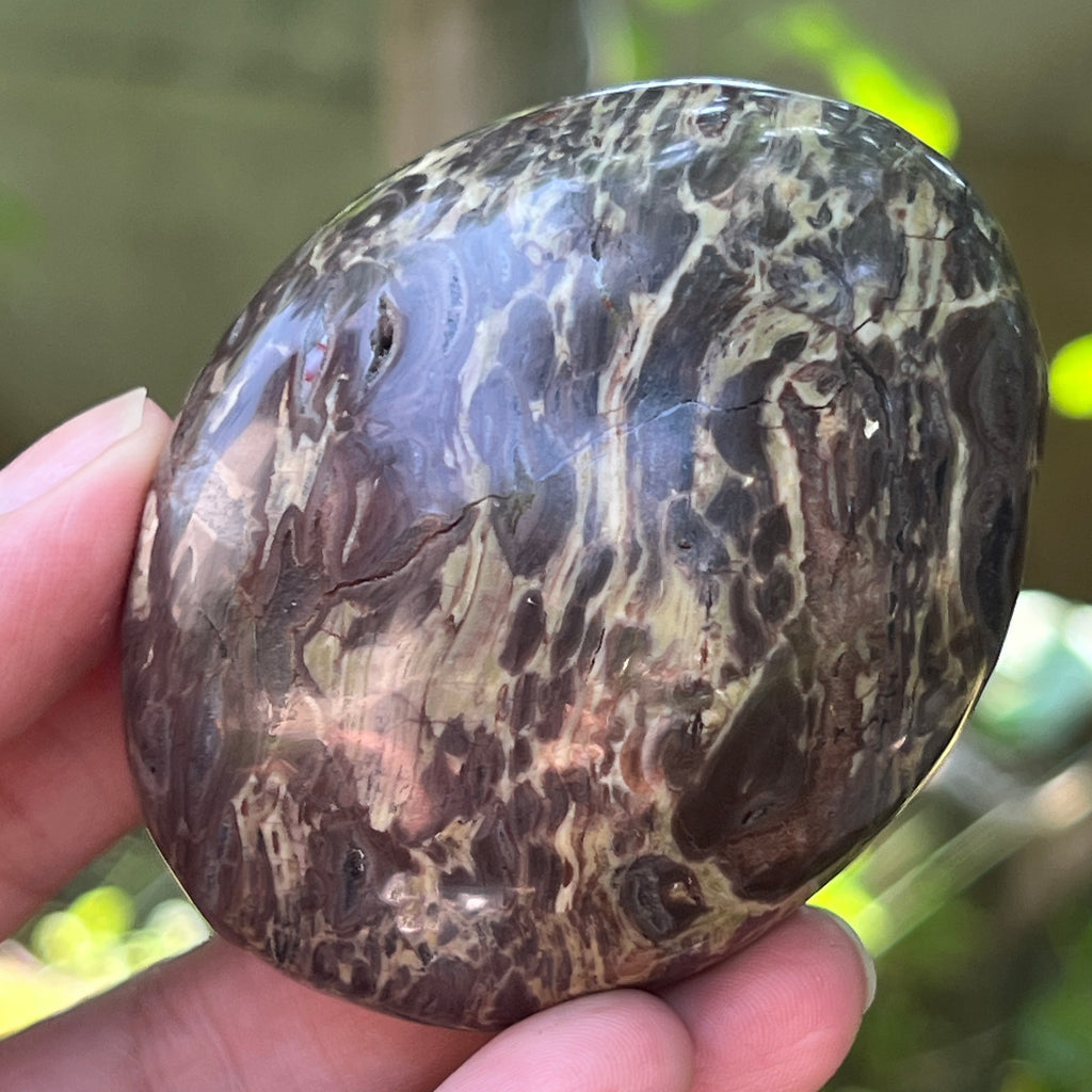 Palmstone riolit de munte | Model 2, pietre semipretioase - druzy.ro 4 