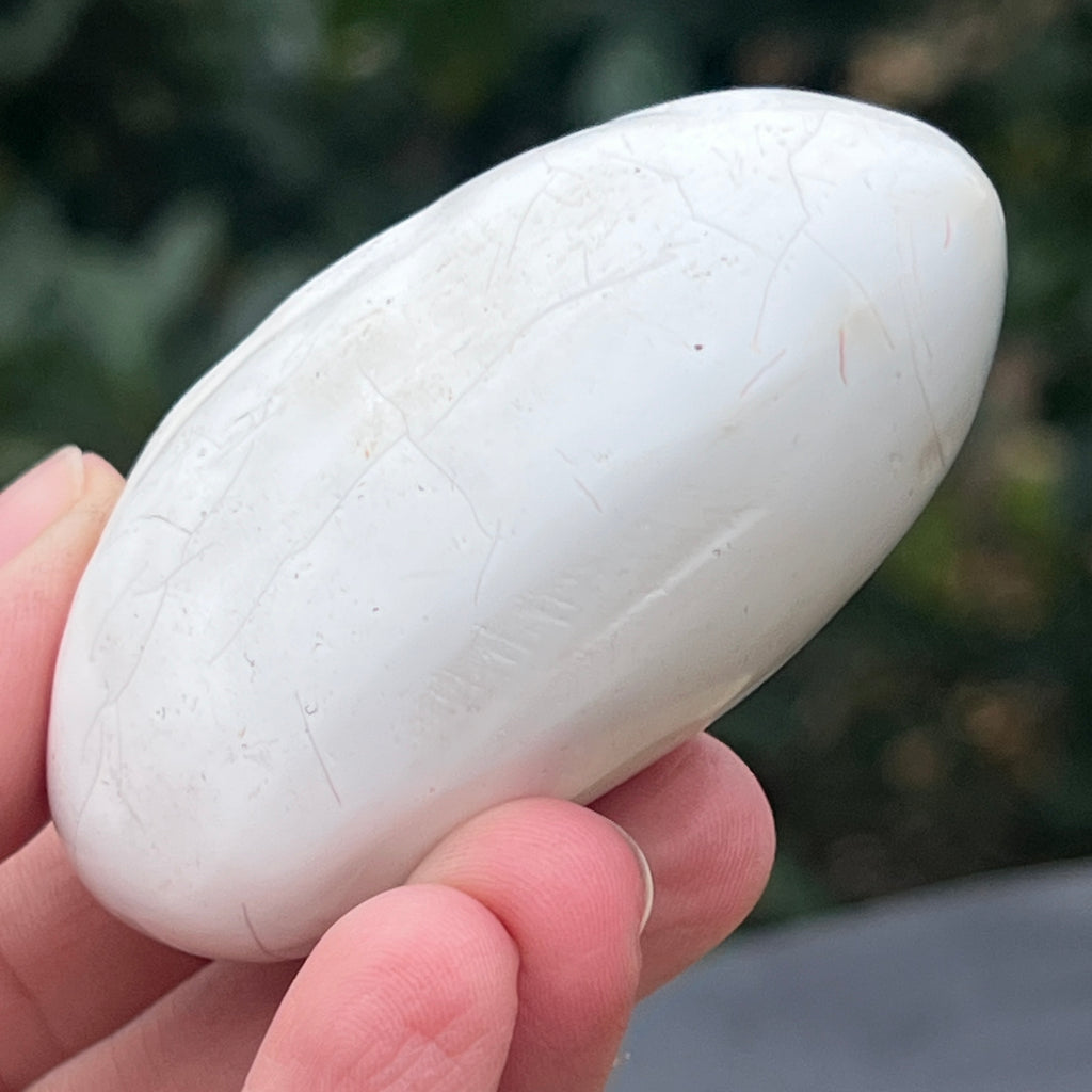 Agat Orca palmstone model 1, pietre semipretioase - druzy.ro 5 