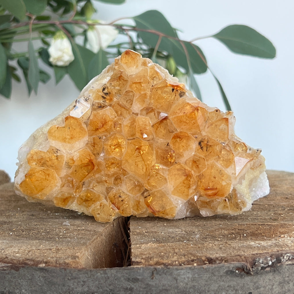 Cluster de Citrin tratat termic| Model 9, pietre semipretioase - druzy.ro 2 