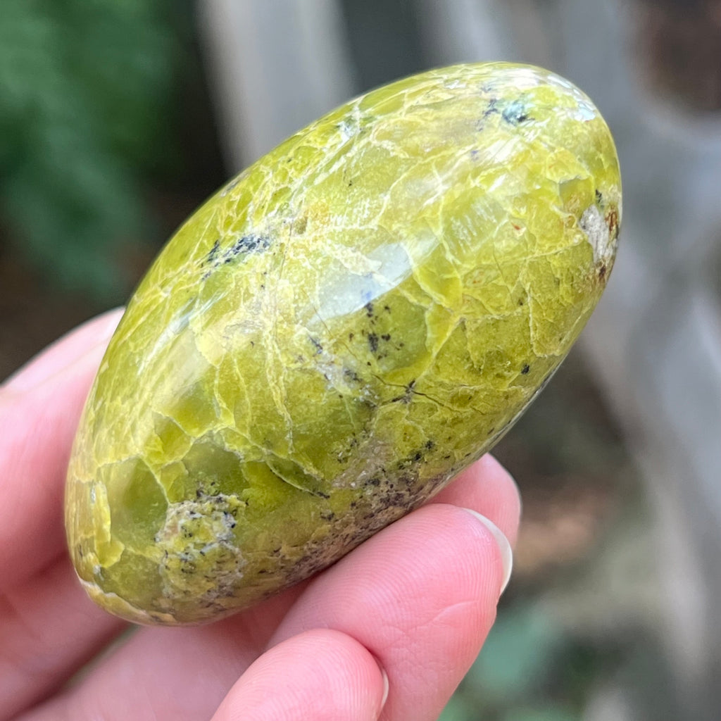 Opal verde palmstone m12, pietre semipretioase - druzy.ro 1 