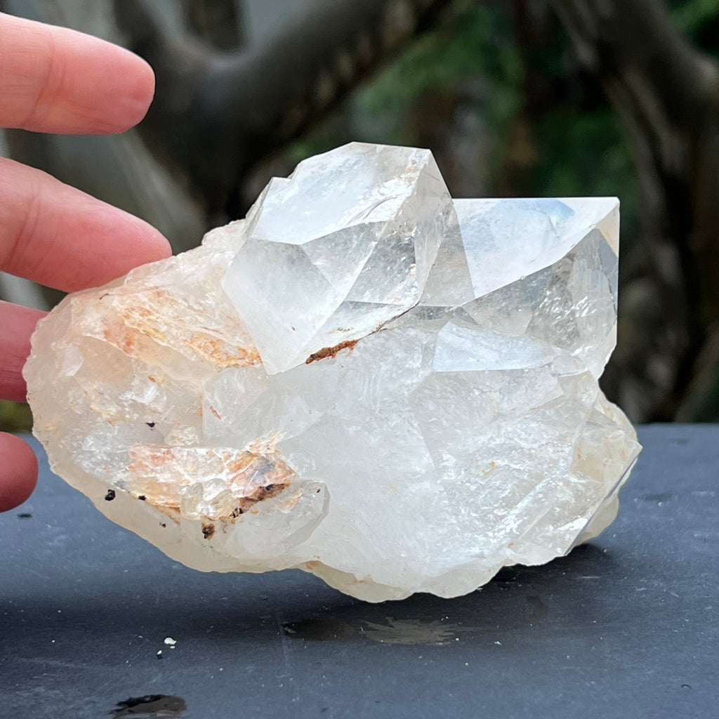 Cluster cuart incolor, floare de mina, cristal de stanca Zimbabwe m3, druzy.ro, cristale 1