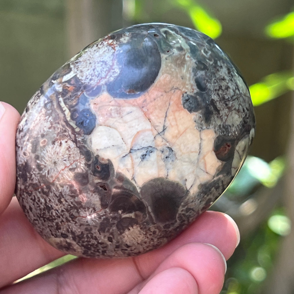 Palmstone riolit de munte | Model 3, pietre semipretioase - druzy.ro 4 