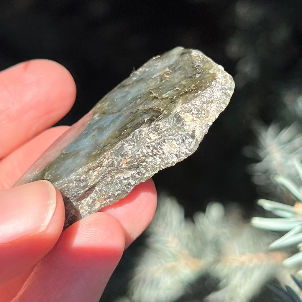 Labradorit piatra bruta polisata pe o fata m2, druzy.ro, cristale 3