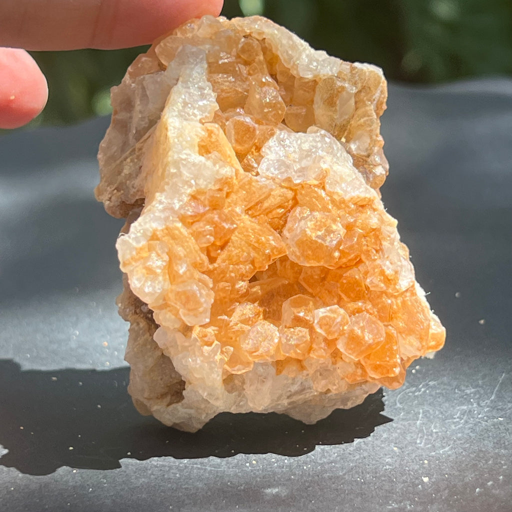 Cluster cuart lamaie Zambia, golden healer model Lm12, druzy.ro, pietre semipretioase 16