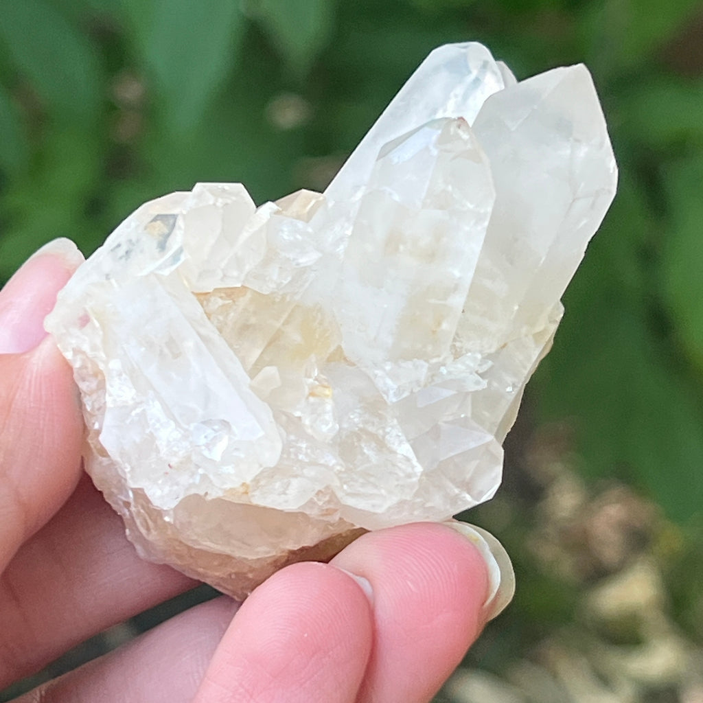 Cluster cuart incolor, floare de mina m20, pietre semipretioase - druzy.ro 5 