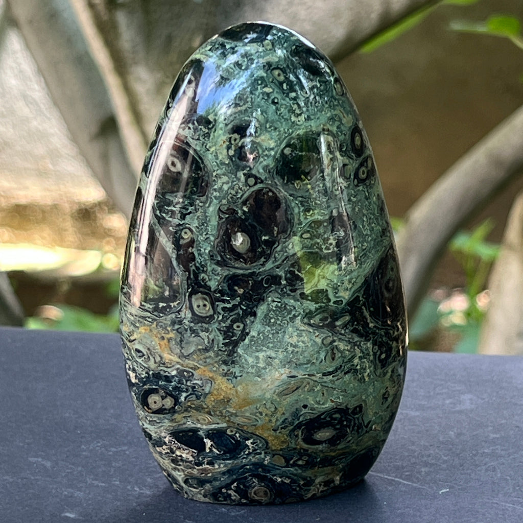 Sculptura jasp kambaba Madagascar forma libera | Model 1, pietre semipretioase - druzy.ro 1 