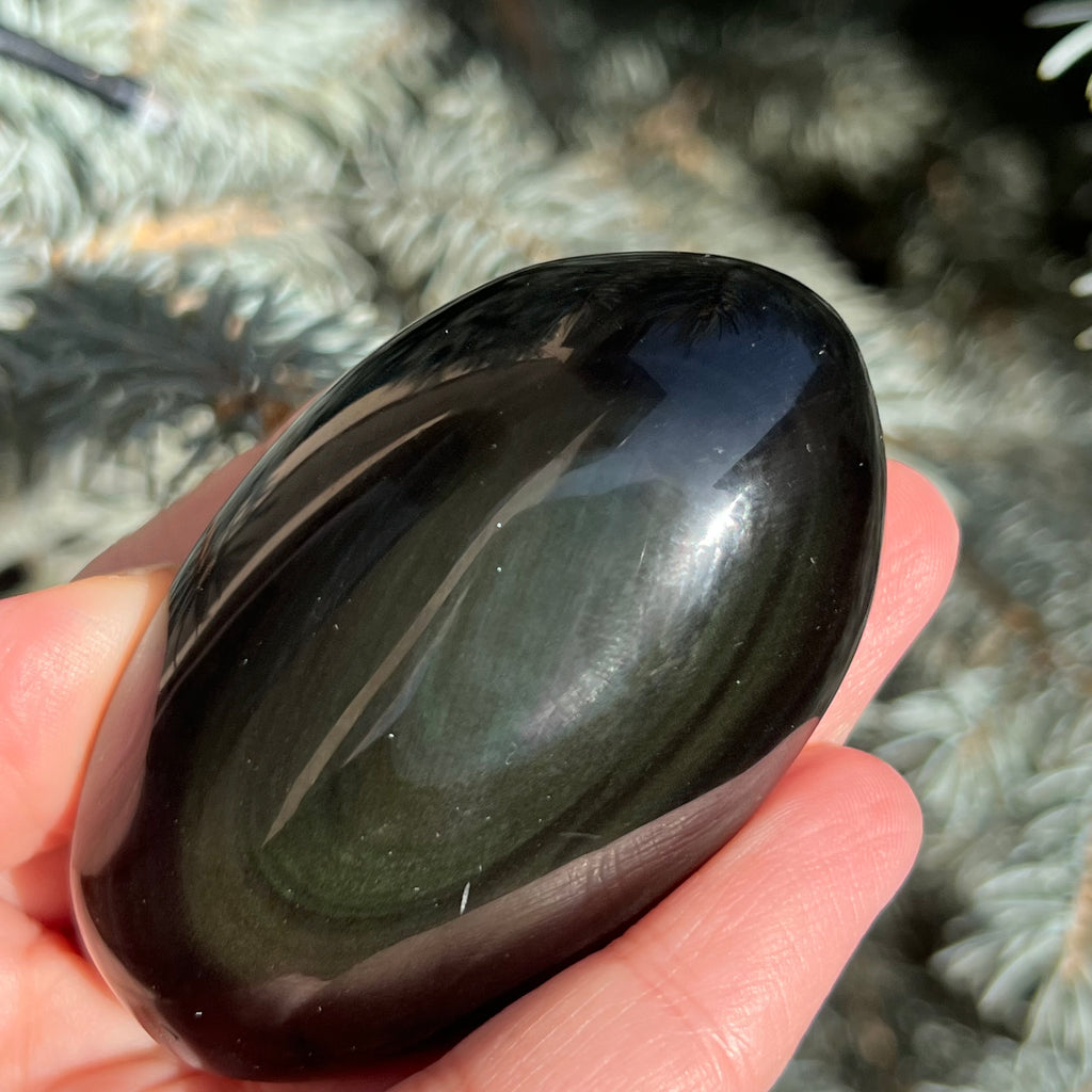 Obsidian curcubeu palmstone model 3, druzy.ro, cristale 4