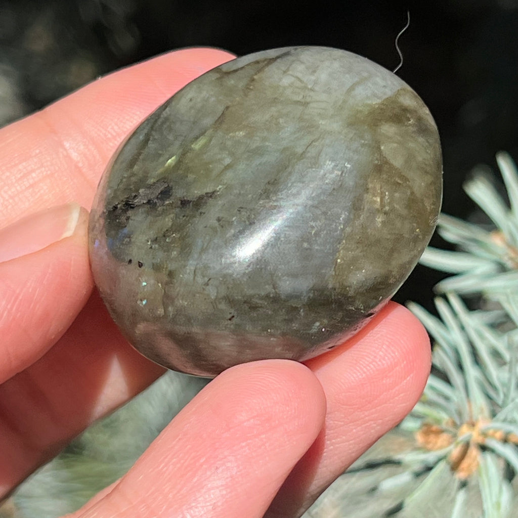 Labradorit palm stone m18, druzy.ro, cristale 2
