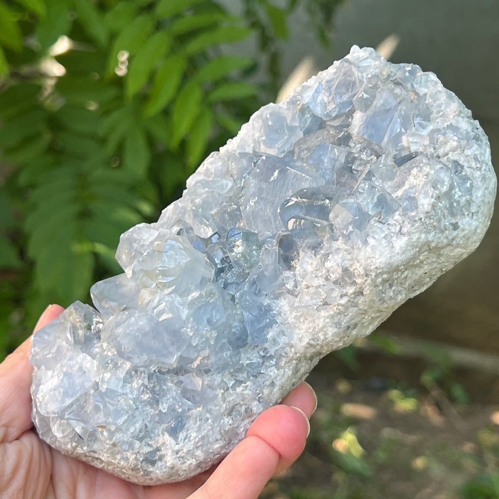 Celestit / celestina cluster m6, pietre semipretioase - druzy.ro 10 