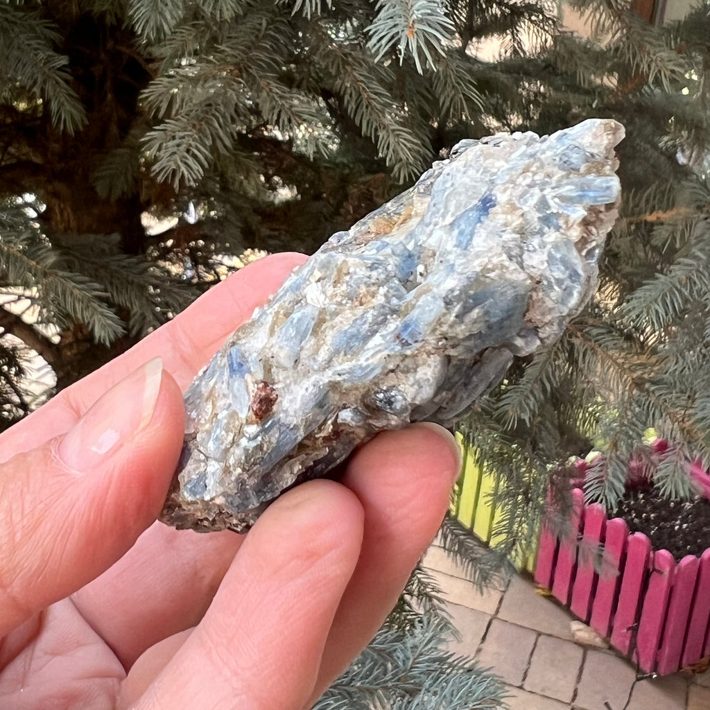 Kianit albastru (Cianit) piatra bruta din Zimbabwe model 5, druzy.ro, cristale 4