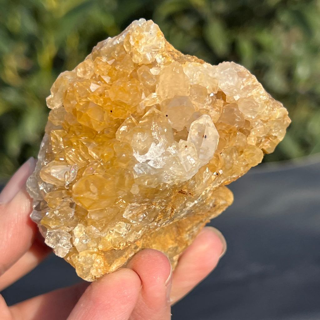 Cluster cuart lamaie Zambia, golden healer model 49, pietre semipretioase - druzy.ro 10 