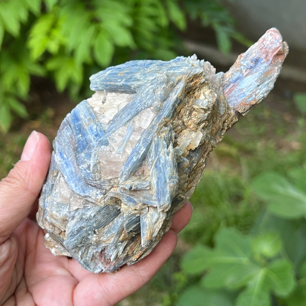 Kianit albastru (Cianit) piatra bruta din Zimbabwe model c2/1, pietre semipretioase - druzy.ro 2 