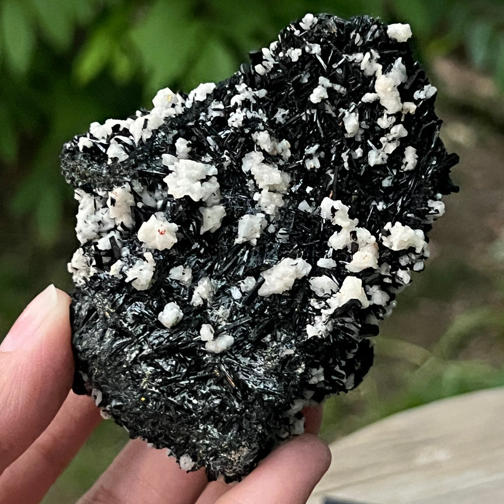 Cluster turmalina neagra model 7 din Erongo, Namibia, pietre semipretioase - druzy.ro 8 