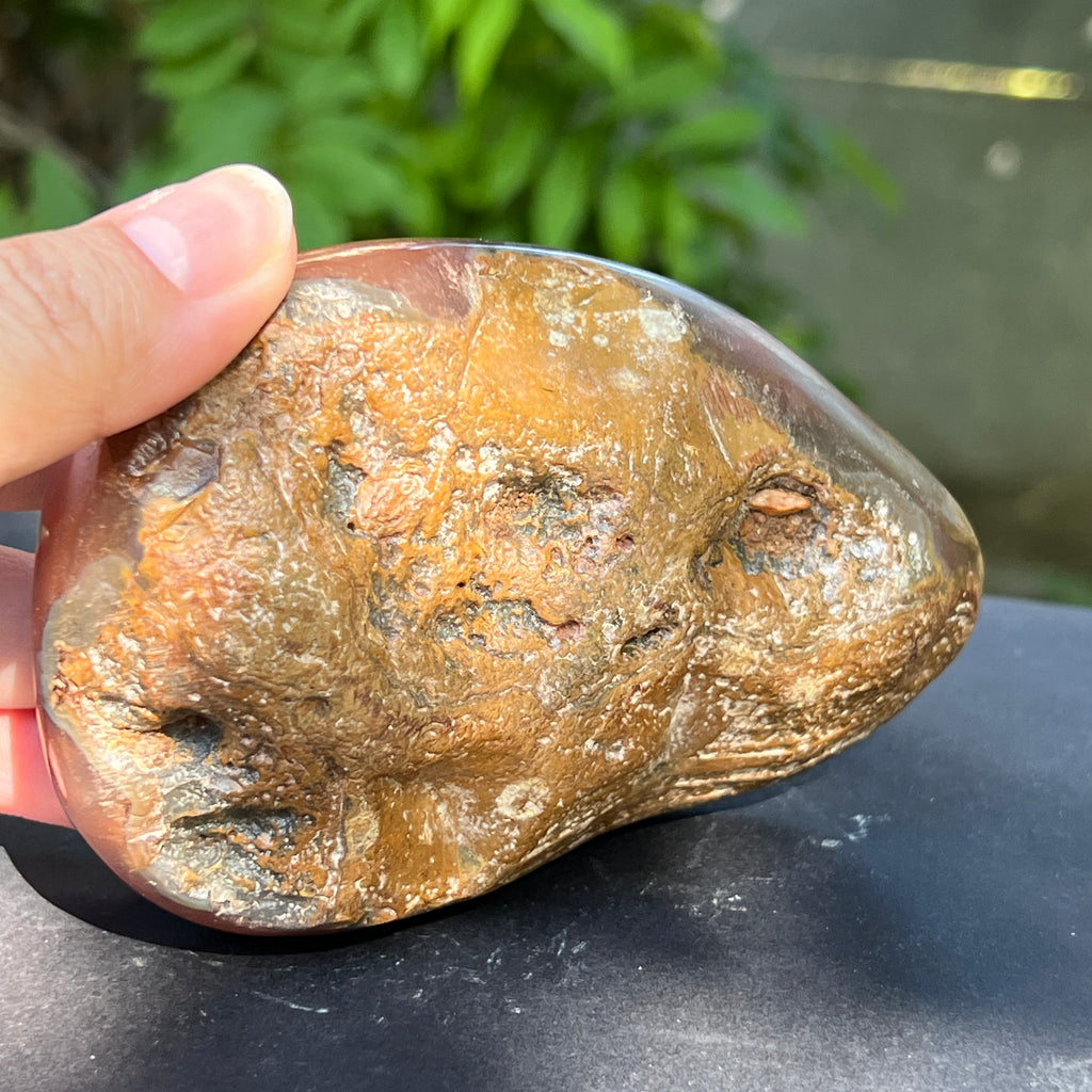 Nodul agat de Botswana, agat river, unicat | Model XL2, pietre semipretioase - druzy.ro 3 