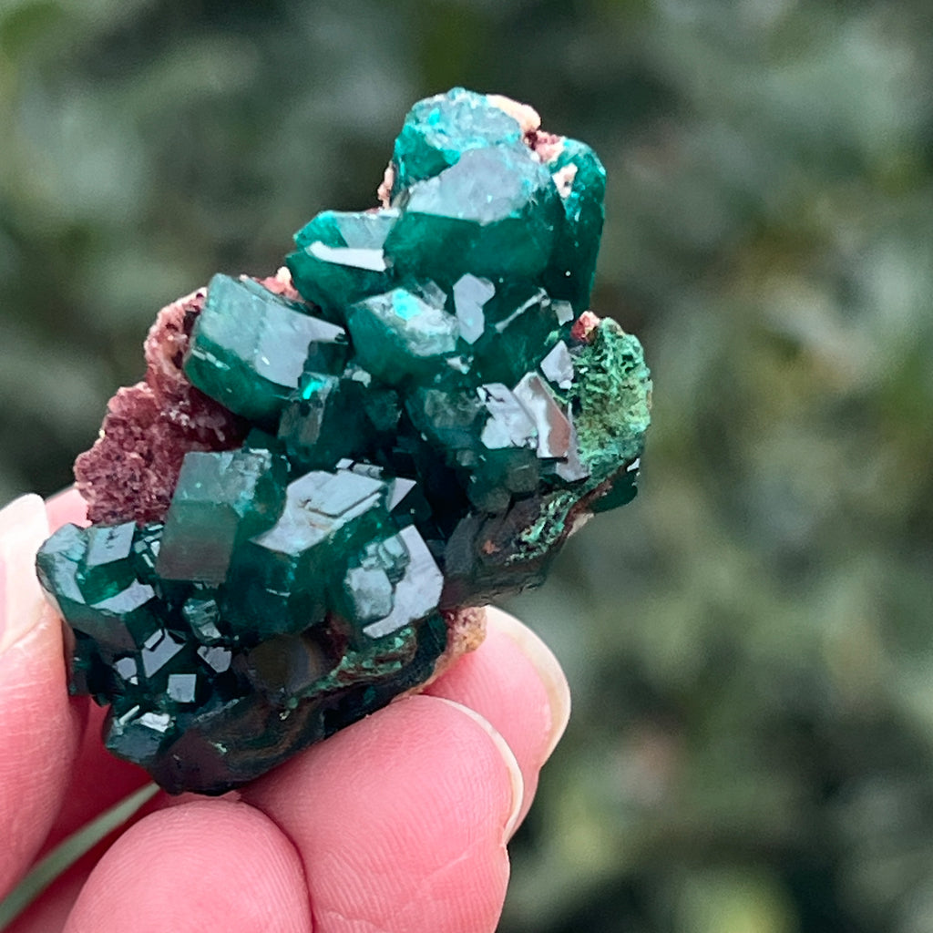 Dioptaz cluster din Congo model 15, pietre semipretioase - druzy.ro 5 