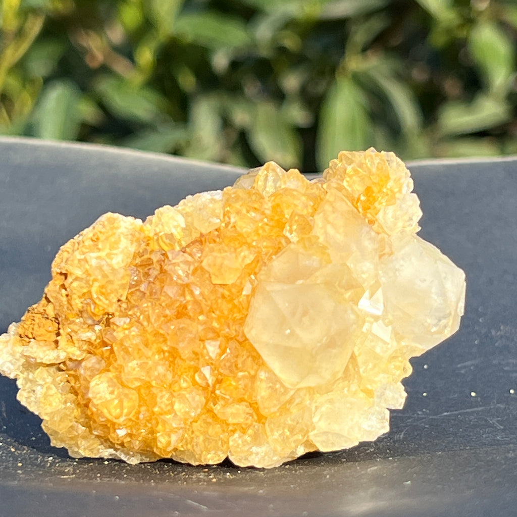 Cluster cuart lamaie Zambia, golden healer model 53, pietre semipretioase - druzy.ro 3 