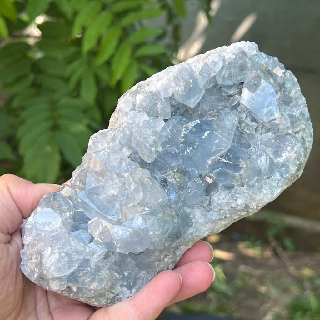 Celestit / celestina cluster m6, pietre semipretioase - druzy.ro 7 
