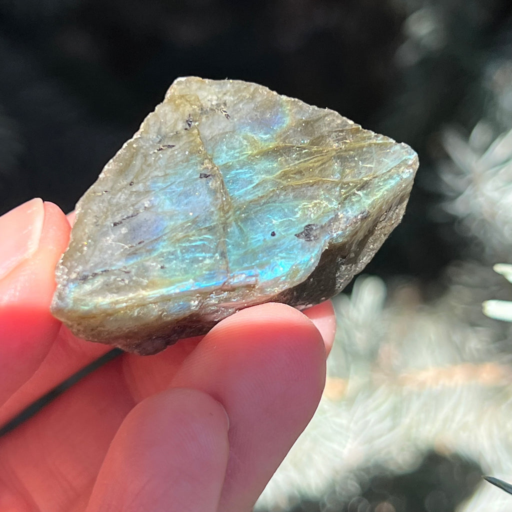 Labradorit piatra bruta polisata pe o fata m9, druzy.ro, cristale 4