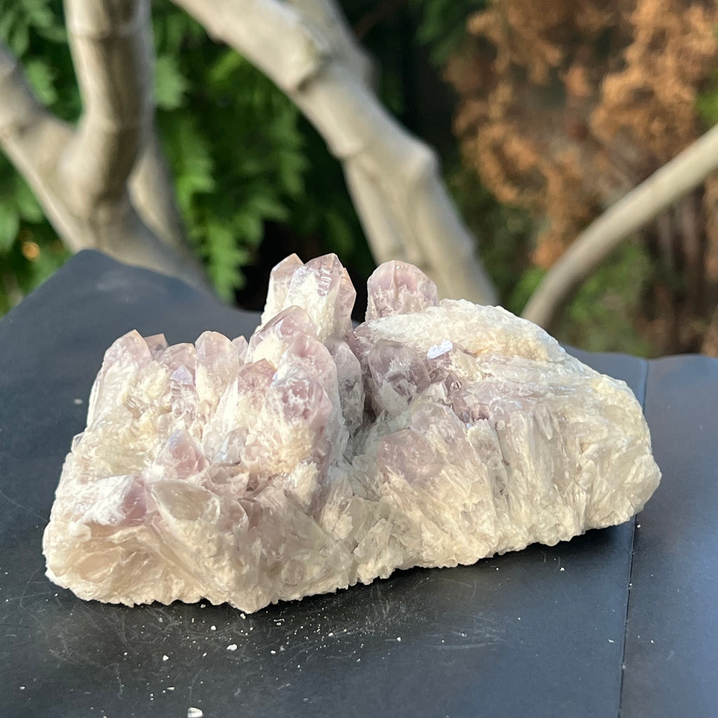Cluster ametist sweet model 5a/10, din Zambia, druzy.ro, cristale 7