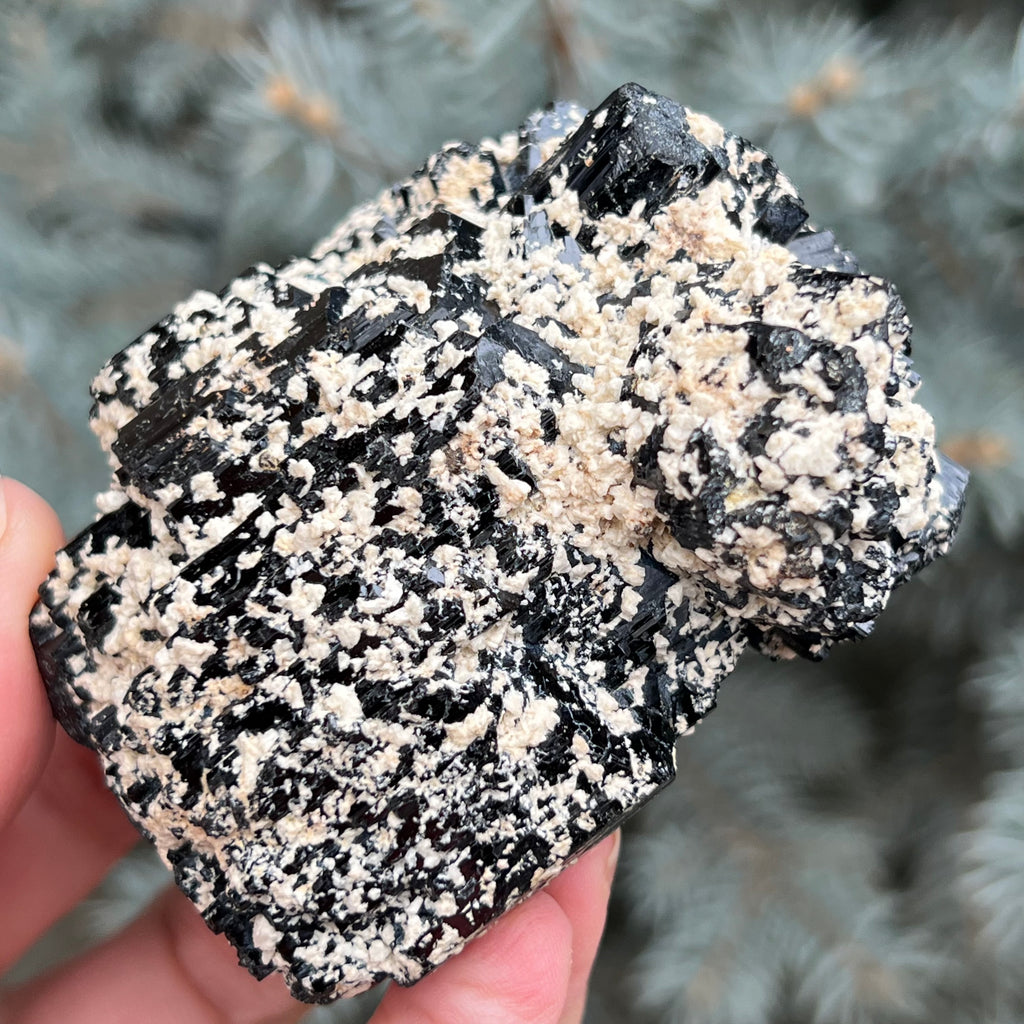 Cluster turmalina neagra model 4 din Erongo, Namibia, druzy.ro, cristale 6