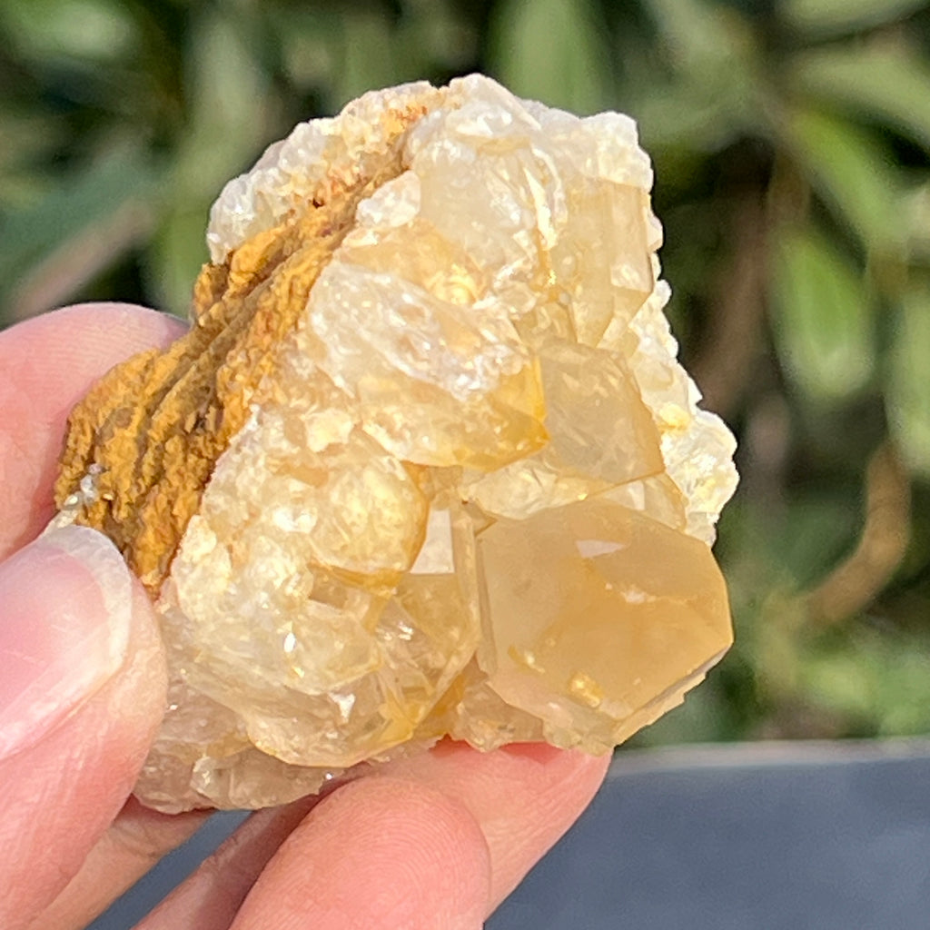 Cluster cuart lamaie Zambia, golden healer model 55, pietre semipretioase - druzy.ro 6 