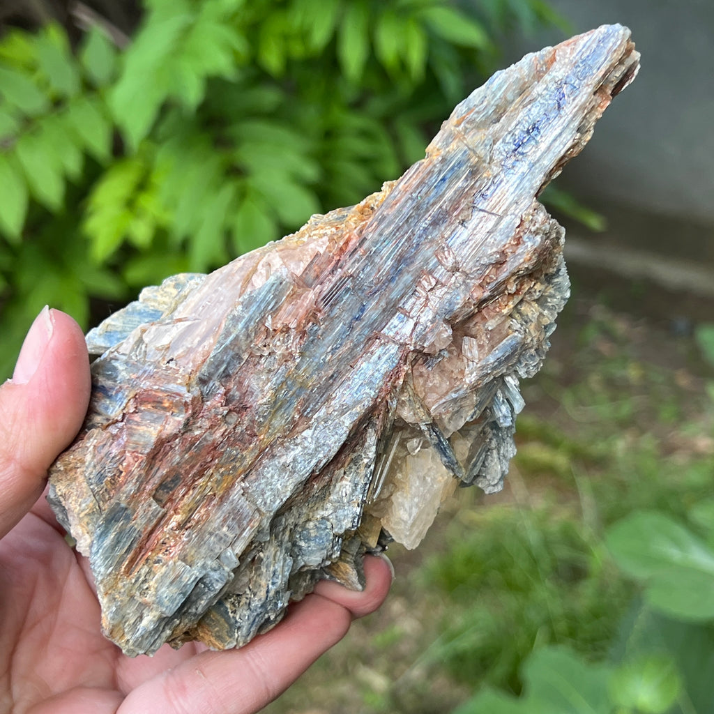 Kianit albastru (Cianit) piatra bruta din Zimbabwe model c2/1, pietre semipretioase - druzy.ro 3 