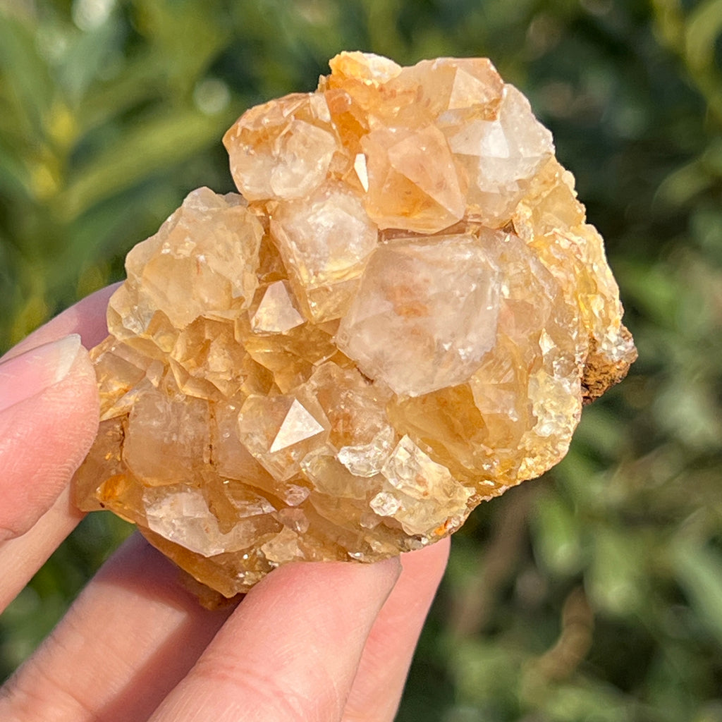 Cluster cuart lamaie Zambia, golden healer model 52, pietre semipretioase - druzy.ro 6 