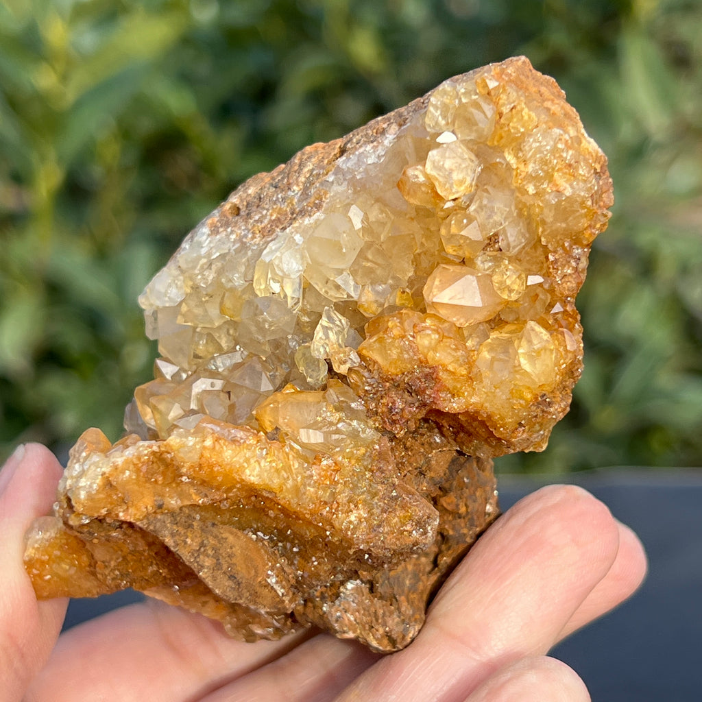 Cluster cuart lamaie Zambia, golden healer model 56, pietre semipretioase - druzy.ro 14 