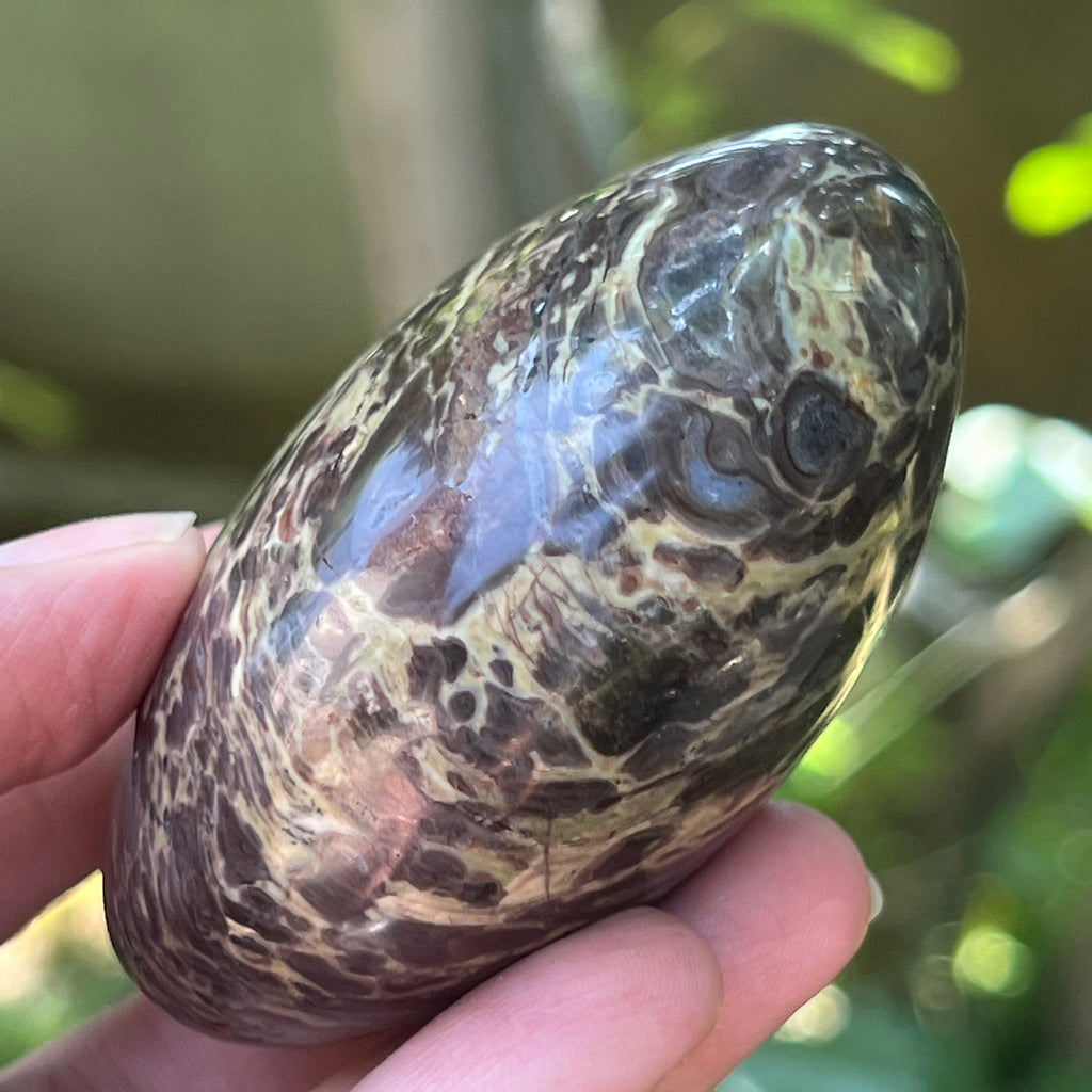 Palmstone riolit de munte | Model 2, pietre semipretioase - druzy.ro 2 