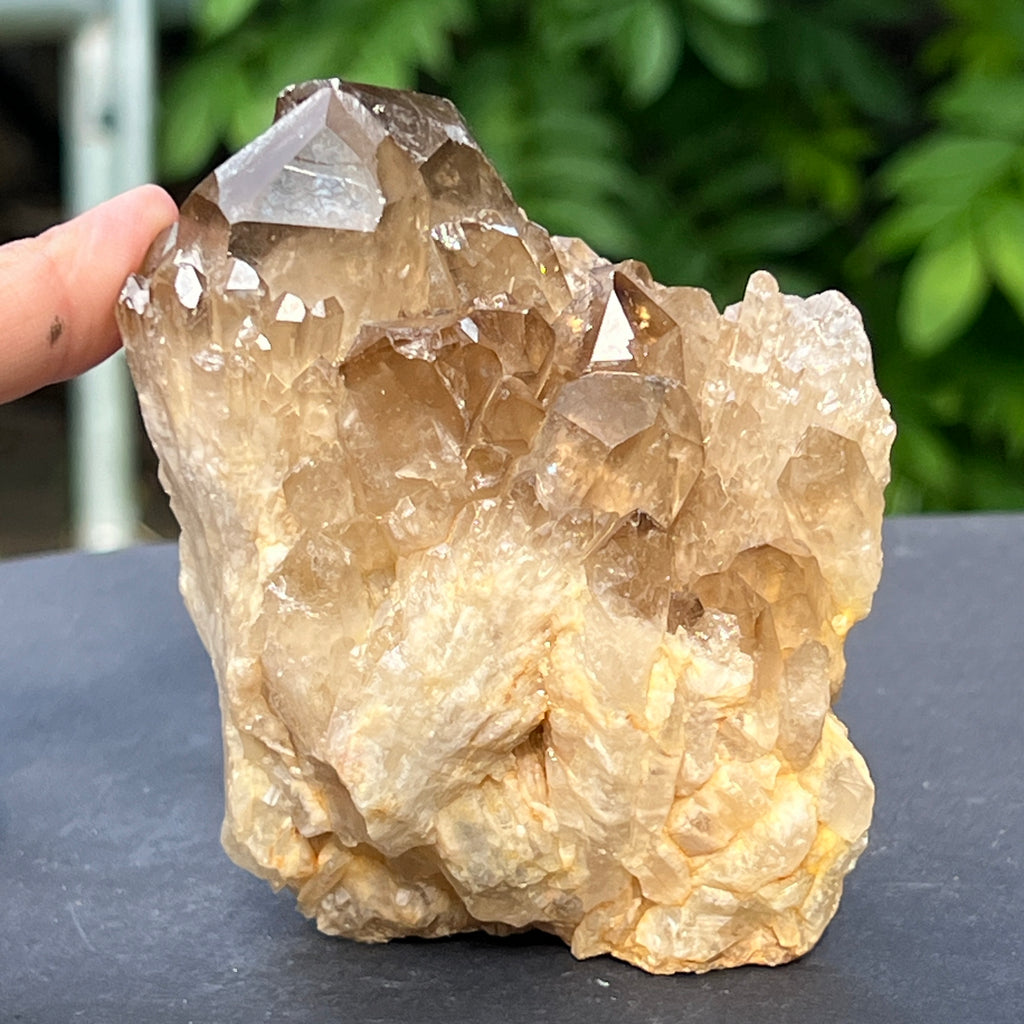 Citrin fumuriu din Congo – specimen natural, netratat | Model 5, pietre semipretioase - druzy.ro 2 