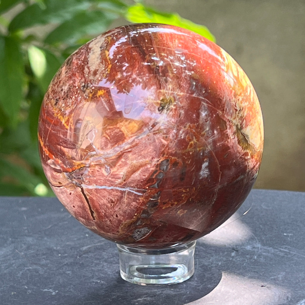 Sfera lemn pietrificat | Model 2, pietre semipretioase - druzy.ro 5 