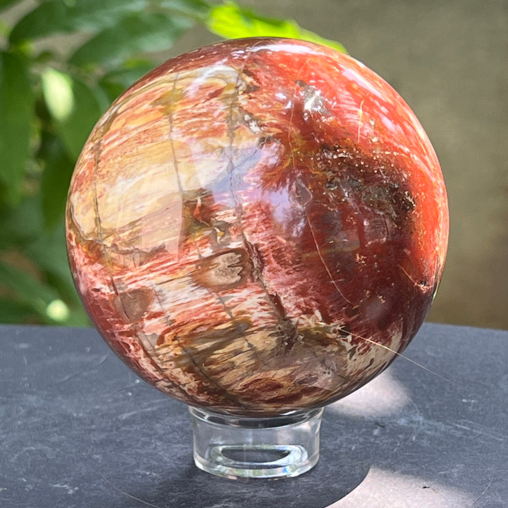 Sfera lemn pietrificat | Model 2, pietre semipretioase - druzy.ro 3 
