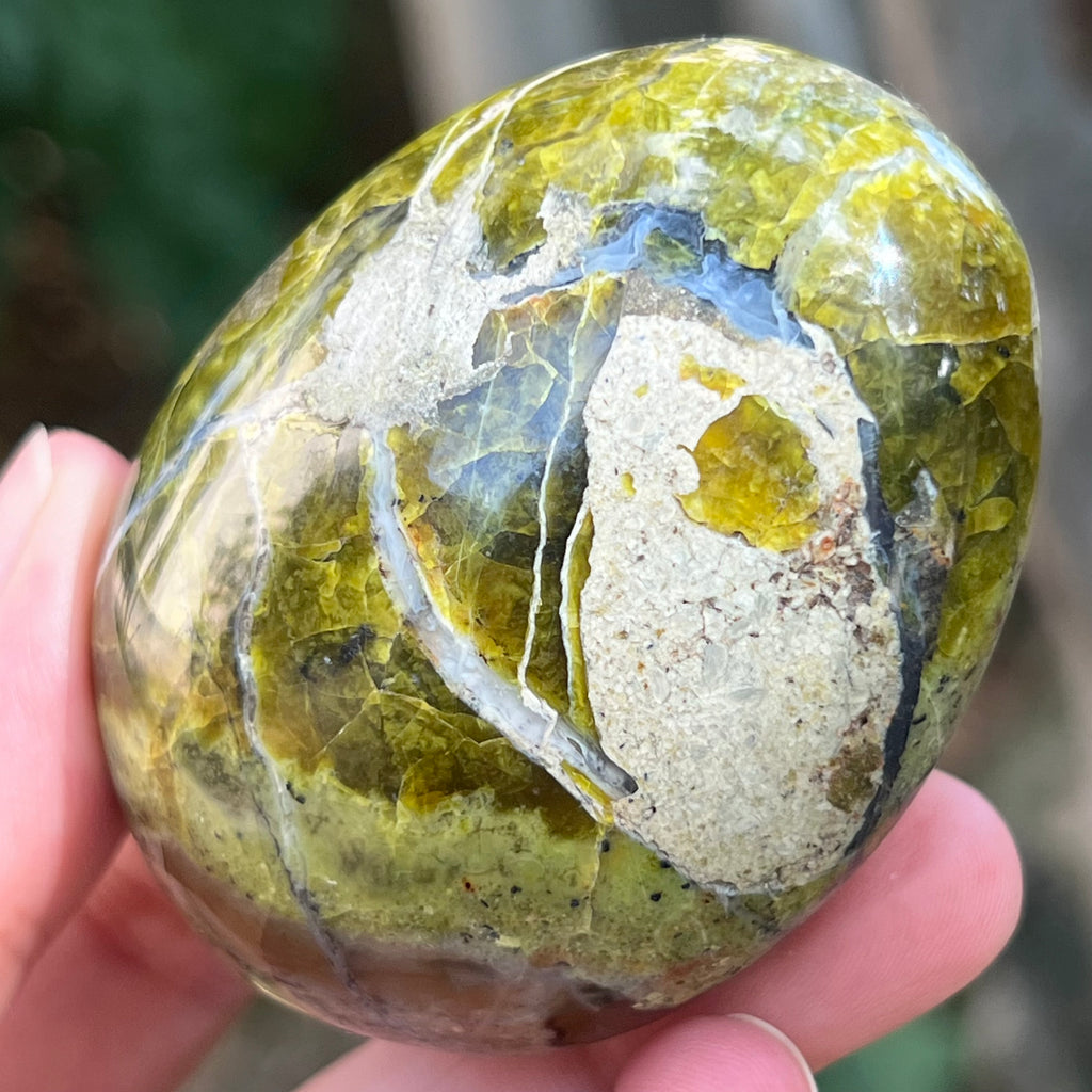 Opal verde palmstone m14, pietre semipretioase - druzy.ro 4 