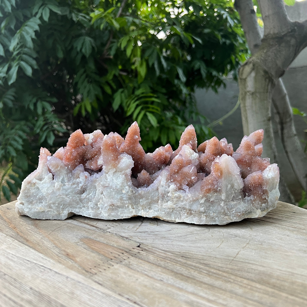 Specimen cluster cuart cactus / spirit ametist liliac Africa de Sud model XXL1, pietre semipretioase - druzy.ro 3 