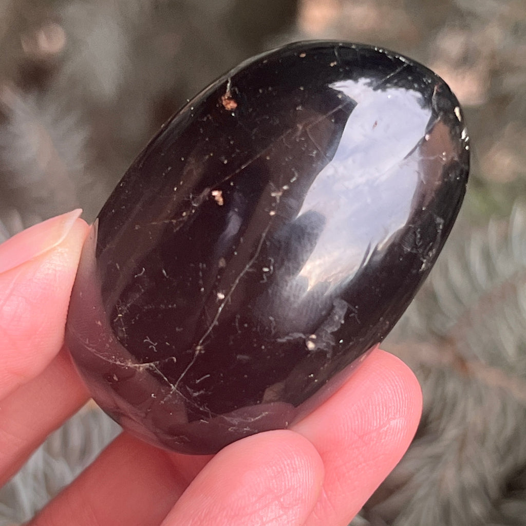 Turmalina neagra palmstone m7, pietre semipretioase - druzy.ro 1 