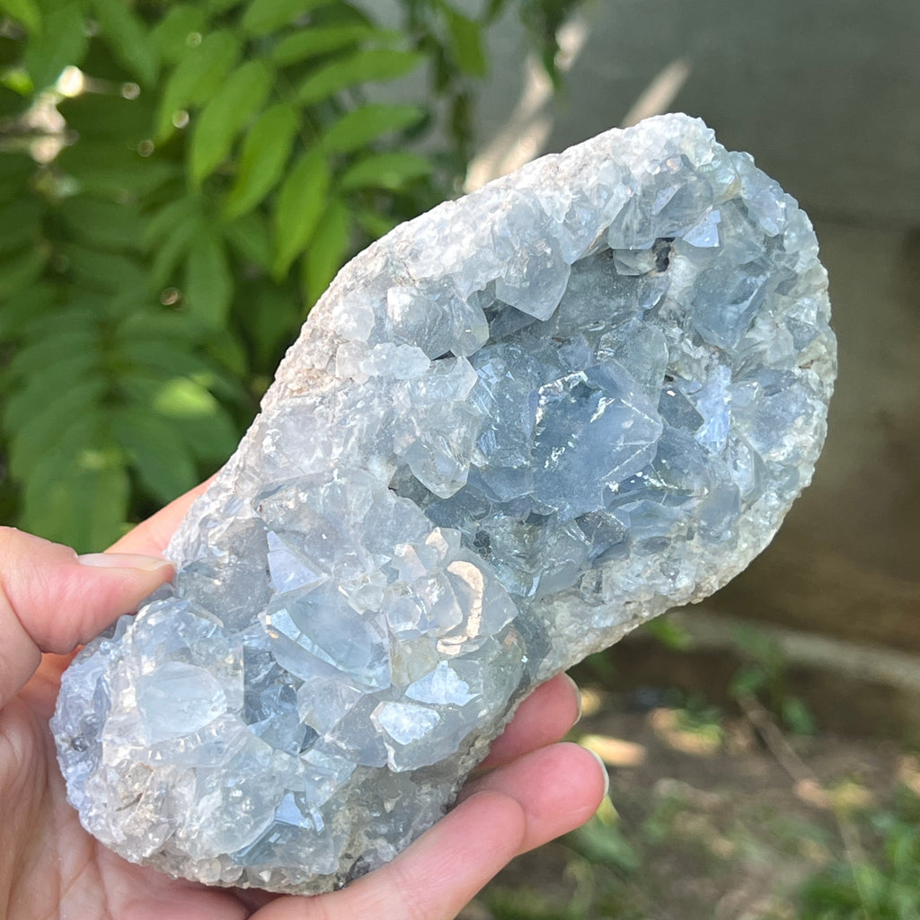 Celestit / celestina cluster m6, pietre semipretioase - druzy.ro 8 