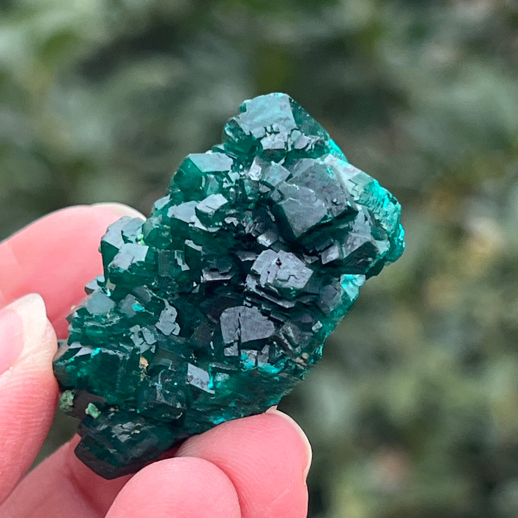 Dioptaz cluster din Congo model 18, pietre semipretioase - druzy.ro 3 