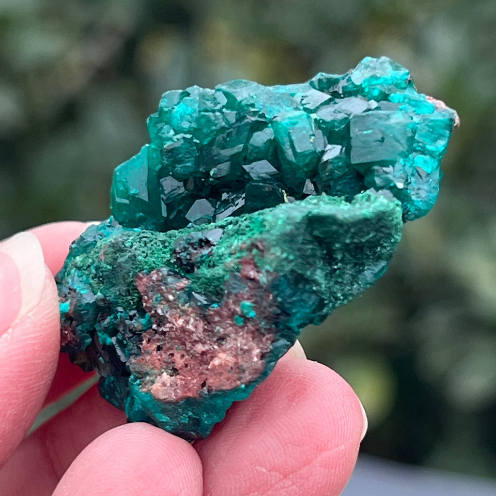 Dioptaz cluster din Congo model 13, pietre semipretioase - druzy.ro 2 