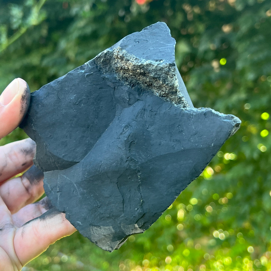 Shungit piatra bruta XXL model 5, pietre semipretioase - druzy.ro 3 